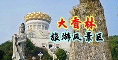 性插动态免费视频中国浙江-绍兴大香林旅游风景区